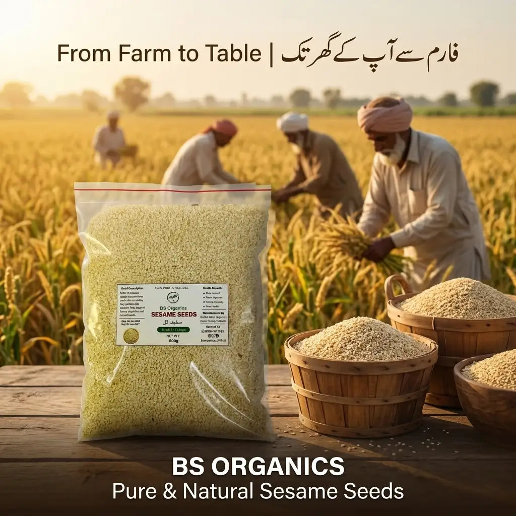 Pure Sesame Seeds – Natural & Premium Quality