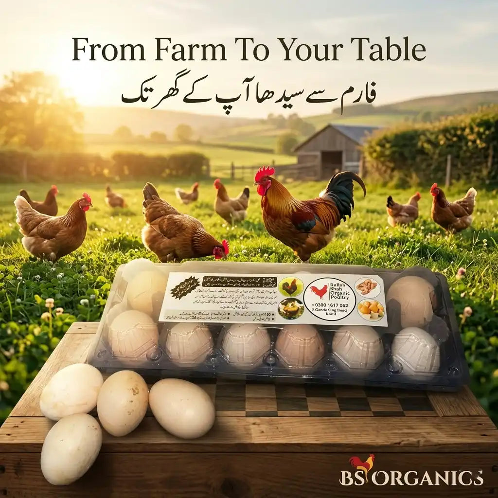 Fresh Desi Eggs – Farm Natural & Nutritious